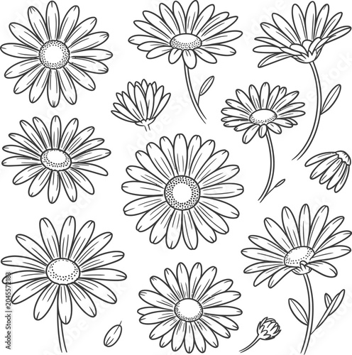 seamless floral background