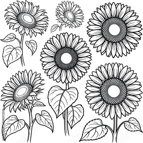 seamless floral background