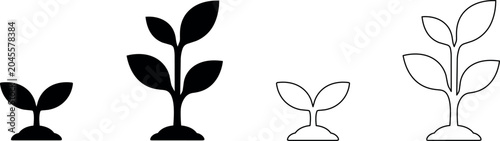 Fotografía Set of plant growth icons showing different stages from seedling to mature plant