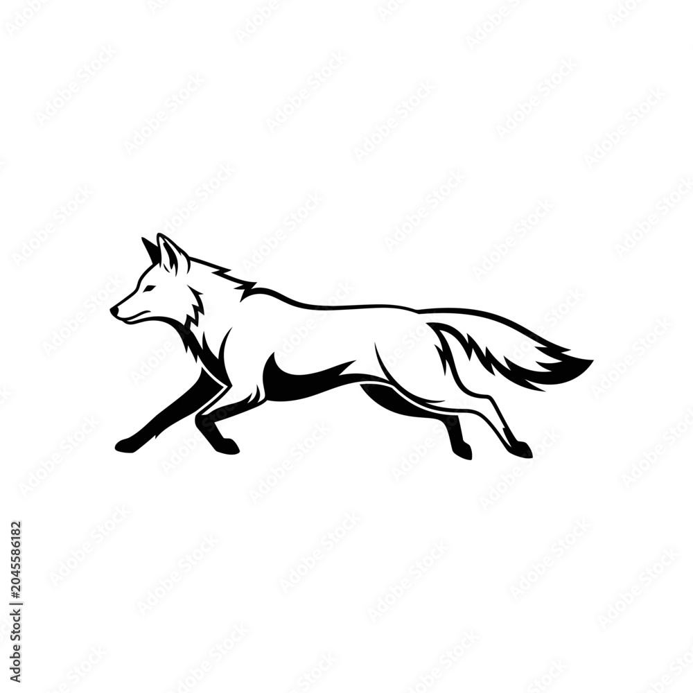 Fototapeta premium Black and white outline drawing of a running fox with detailed fur and tail