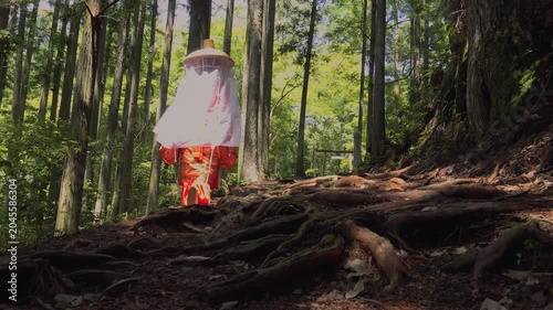Kumano Kodo Nakahechi – Woman Walking in Traditional Heian‑Era Court Costume (Tsubo Shōzoku), Hongu, Tanabe City, Wakayama, Japan 熊野古道中辺路「平安衣裳(壺装束)を着た女性が歩く」和歌山県田辺市本宮