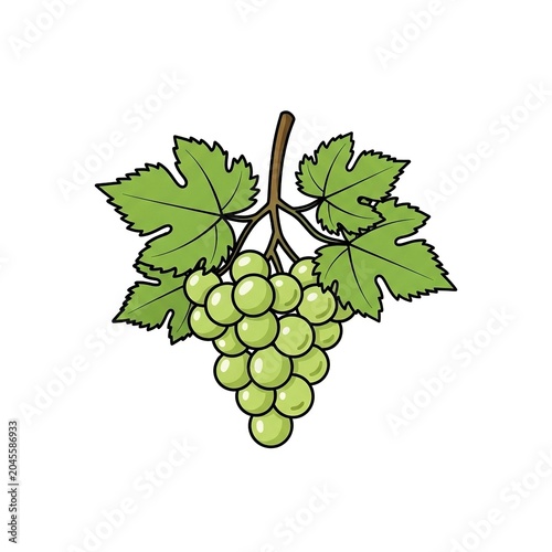 Fresh green grapes bunch with leaves isolated on white background vector illustration of a cluster of ripe grapes, healthy fruit, organic food, vineyard harvest, viticulture, winemaking ingredient