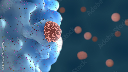 Fotografie Phagocyte engulfing a virus particle, defending the body by removing pathogens a