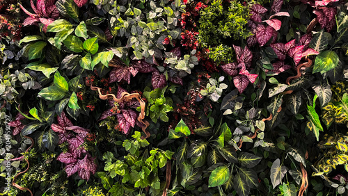 Foto Vibrant foliage blends greens, purples, and earthy browns