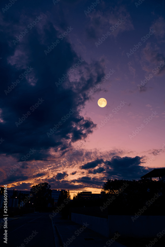 Obraz premium Full Moon with urban silhouettes.