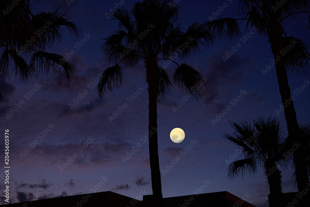 Obraz premium Full Moon with urban silhouettes.