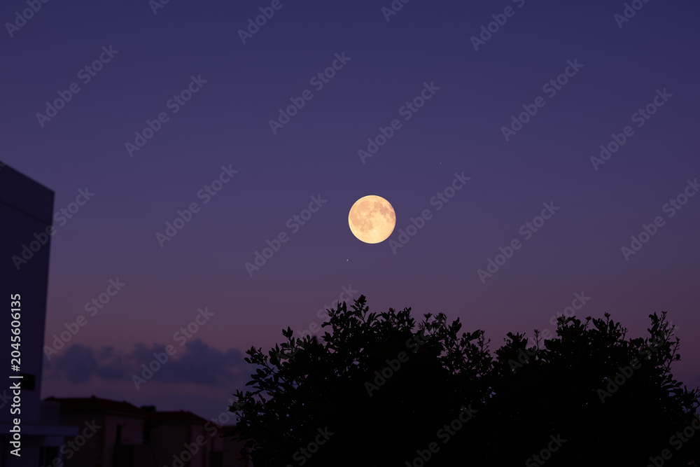 Obraz premium Full Moon on a twilight sky with tree silhouettes.