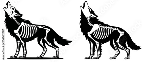Fotografija Illustrative howling wolf skeleton silhouette with prominent rib cage and spine,