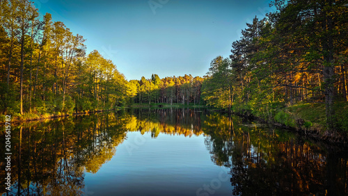 Foto Peaceful forest lake reflecting trees and golden evening sunlight on a calm summer day