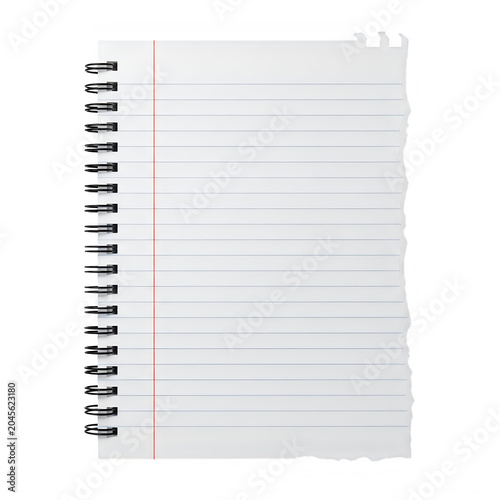 Four empty blank checklists or forms on a page isolated on white background
