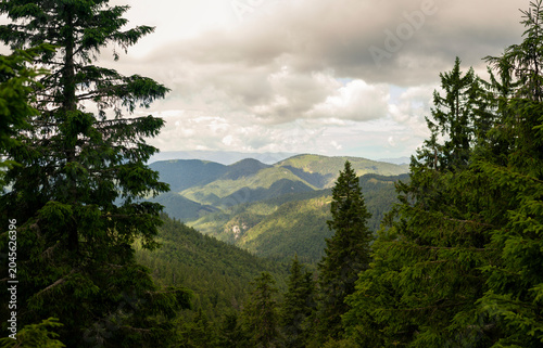 Foto Endless rolling forested hills and distant peaks in Carpathian mountain range un