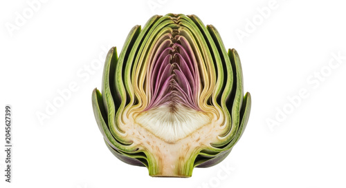 Close-up view of a fresh artichoke cut in half revealing its intricate layers.
