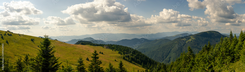 Fototapeta premium Mountain panorama showcasing rolling green hills, spruce forests, distant peaks, blue sky with summer clouds