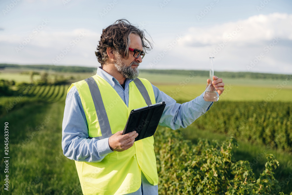 Fototapeta premium Male agricultural technician in reflective vest analyzes liquid sample with beaker while using tablet in vineyard field under clear blue sky