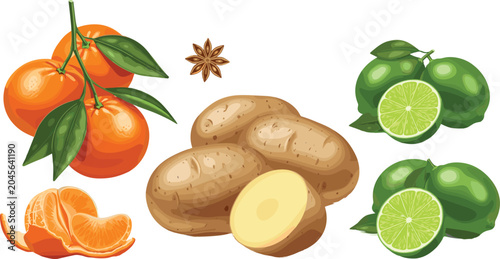 Bilde på lerret Fresh tangerine potato and lime illustration collection with citrus fruits and v
