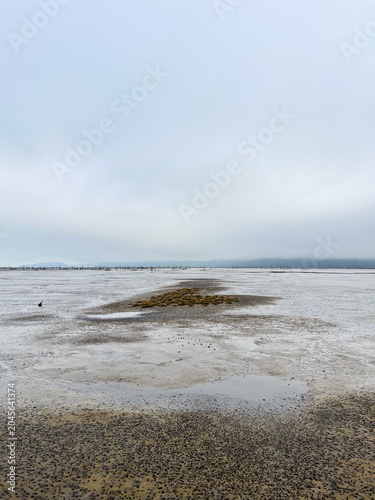 Nisqually National Wildlife Refuge at Low Tide
