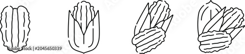 Bild auf Leinwand Hand Drawn Pecan Nut Icons Set Vector Illustration, Healthy Nut Food and Organic