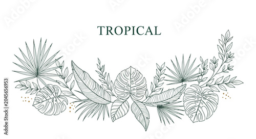 Tropical Leafy Green Foliage Illustration.