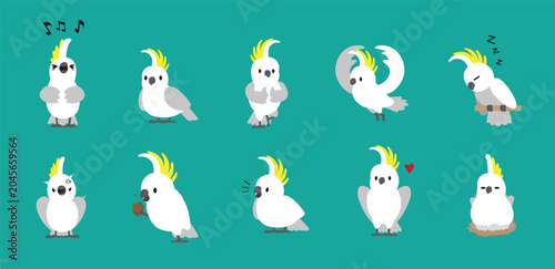 Bird Cockatoo Parrot Chibi Cartoon Naive Various Poses