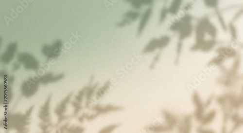 Cuadro en lienzo Soft sage green natural gradient background
