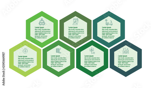 Hexagonal infographic elements with placeholder text and icons in a modern vector style