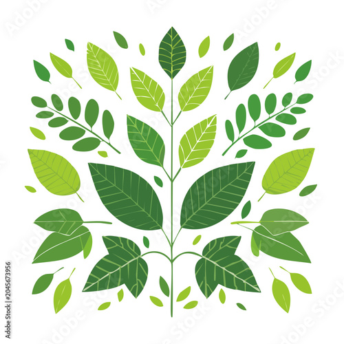 Green leaves pattern on white background