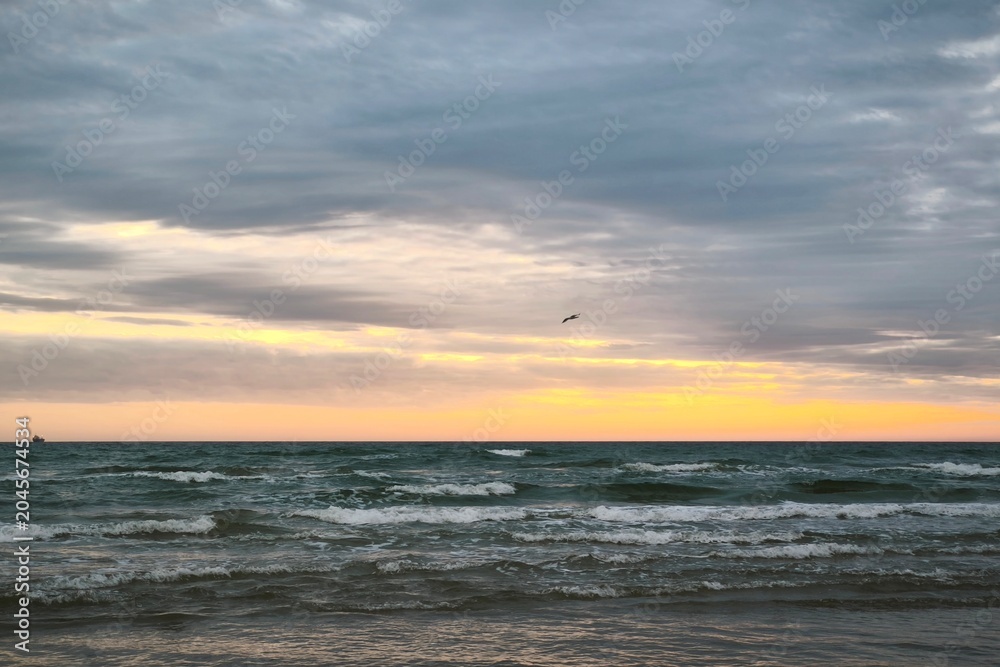 Fototapeta premium Wavy ocean coast with a lonely bird flying at sunset. Calm sea with waves on a beautiful evening landscape background for creative travel banner and wallpaper.