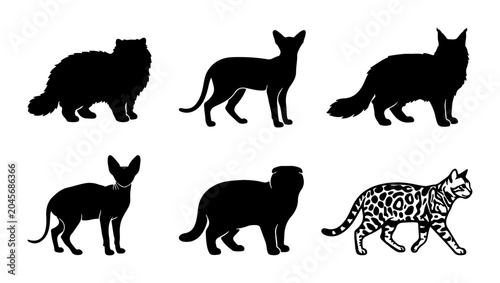 Fotografia Diverse Cat Silhouettes Vector Set, Feline Breed Icons, Pet Animal Graphics