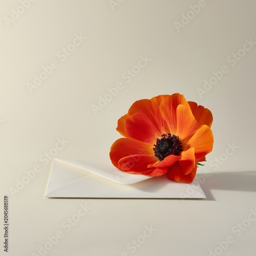 Bright Flower Placed on a White Envelope on a Light Background During Daytime