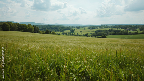 Scenic Green Meadow and Rolling Countryside Landscape