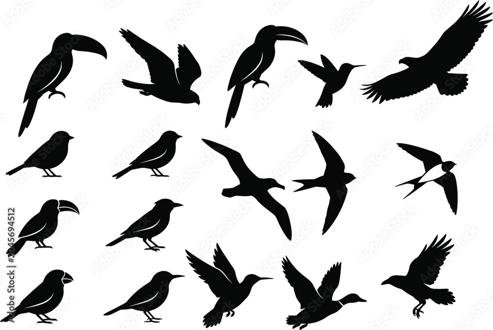 Fototapeta premium Black Tropical and Wild Bird Species Silhouettes Collection Set in Flying and Standing Poses