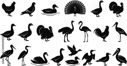 Billede på lærred Bird Silhouette Collection Featuring Waterfowl Poultry and Exotic Species Isolat
