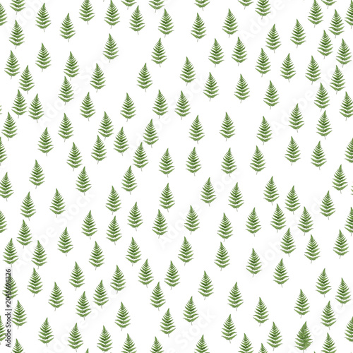 Photos Fern frond seamless vector illustration, green and brown tropical forest plant leaves on white background