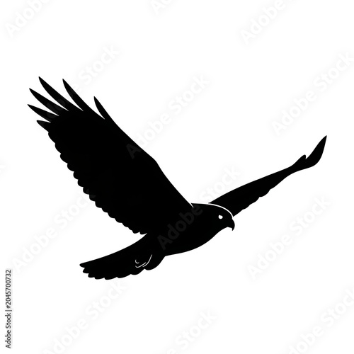 Silhouette of bird in flight outdoors.