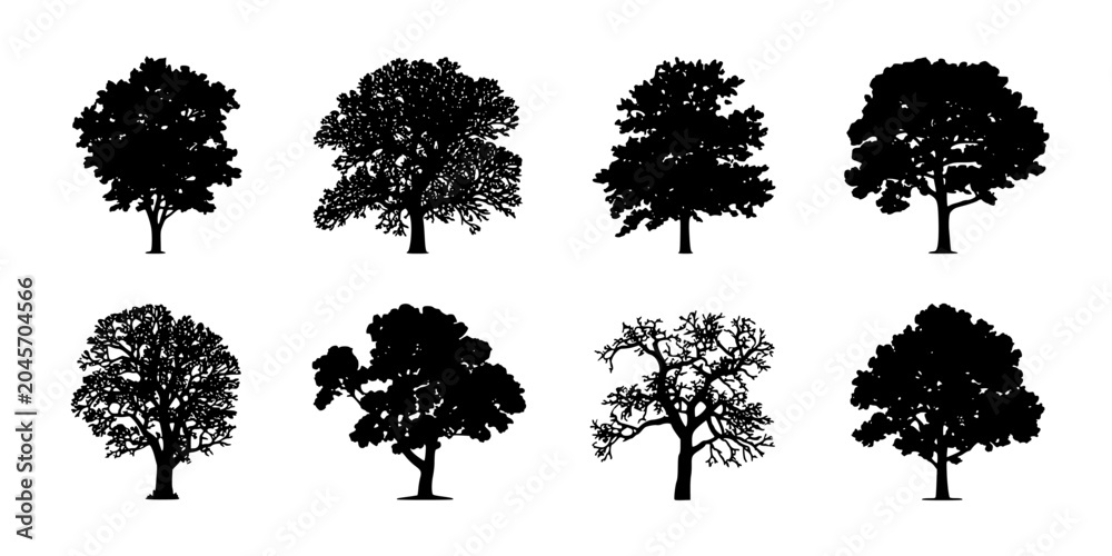 Fototapeta premium Tree, Set of Black Silhouette Trees on White Background with Varied Shapes, Winter Leafless Branches and Full Canopies