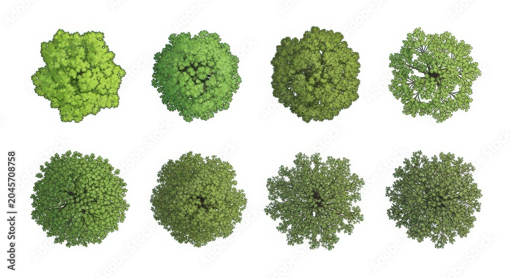 Obraz premium Collection of Top View Tree Vector Illustrations for Landscape Design, Architectural Site Plans, and Garden Mapping