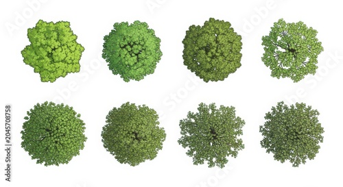 Collection of Top View Tree Vector Illustrations for Landscape Design, Architectural Site Plans, and Garden Mapping