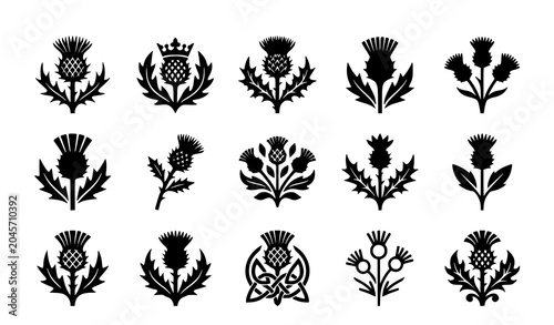 Tableau sur toile Scottish thistle flower silhouette vector set