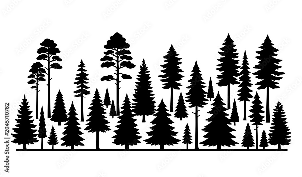 Obraz premium Silhouette of a dense coniferous forest with pine and fir trees vector