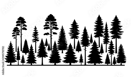 Schilderij op canvas Silhouette of a dense coniferous forest with pine and fir trees vector