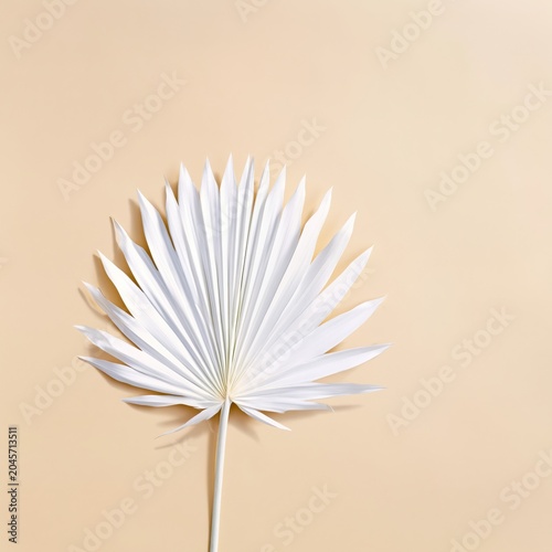 Decorative White Flower on Beige Background for Home Decor