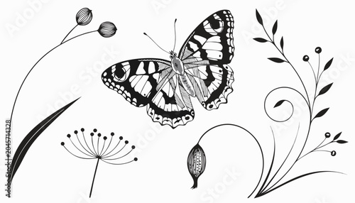 Very beautiful black-and-white engraved vector illustration of a Painted Lady butterfly, featuring finely detailed wings, delicate meadow plants, elegant botanical branches, and sophisticated vintage 