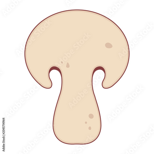 Porcini Mushroom Slice illustration cartoon cute