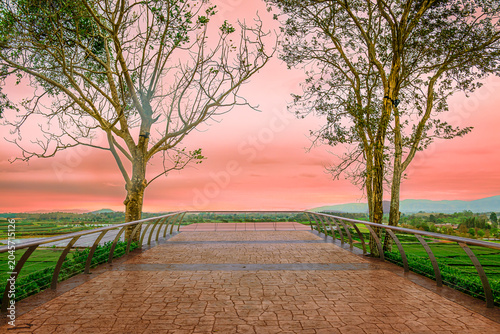 Perspective Landscape Series : A beautiful boardwalk creates a perfect leading line towards the sunset horizon.