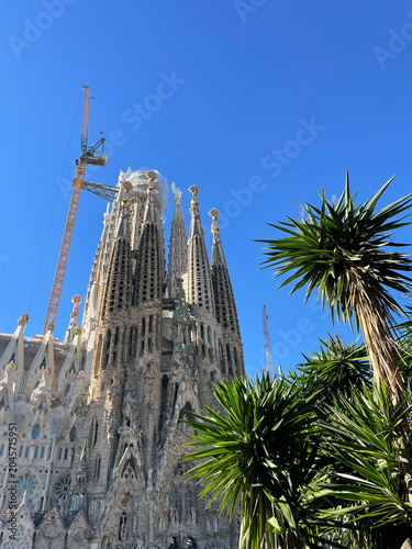 Construction process at Sagrada Familia in Barcelona seen on a sunny day with palm trees framing the view