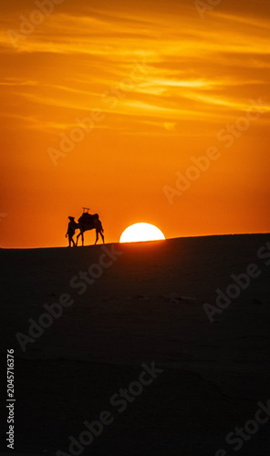 Canvas-taulu Silhouette of a traveler leading a camel across Sahara desert dunes at sunset, evoking nomadic life and remote arid landscapes