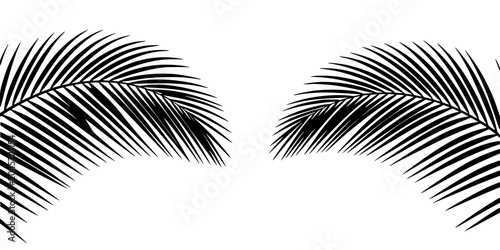 Palm Leaf Frond Pattern in Black and White with Stylized Curved Lines and High-Contrast Graphic Design Background