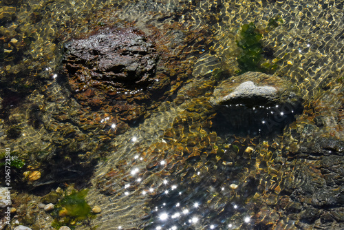 Photos Rocher et algue et eau clair