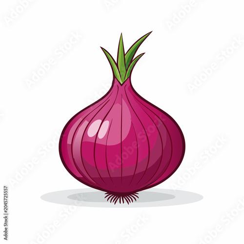 Red Onion Illustration