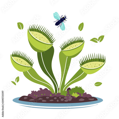 Venus Flytrap Plant with Fly and Leaves in Flat Design